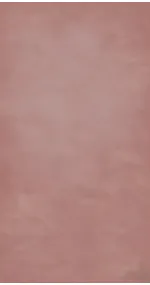 Salmon Pink