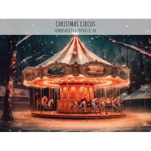 DIGITAL Christmas Circus