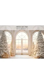 DIGITAL Indoor Christmas