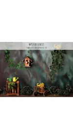 Mystery Forest