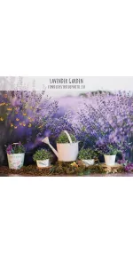 Lavender Garden