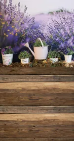 Lavender Garden