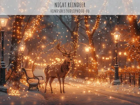 Night Reindeer