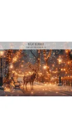 Night Reindeer