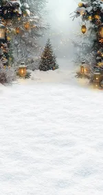 Festive Lights