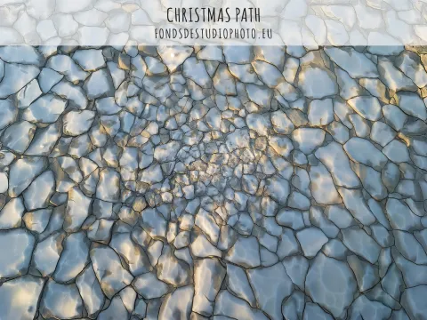 Christmas Path