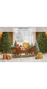 Santa's Sleigh