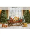 Santa's Sleigh