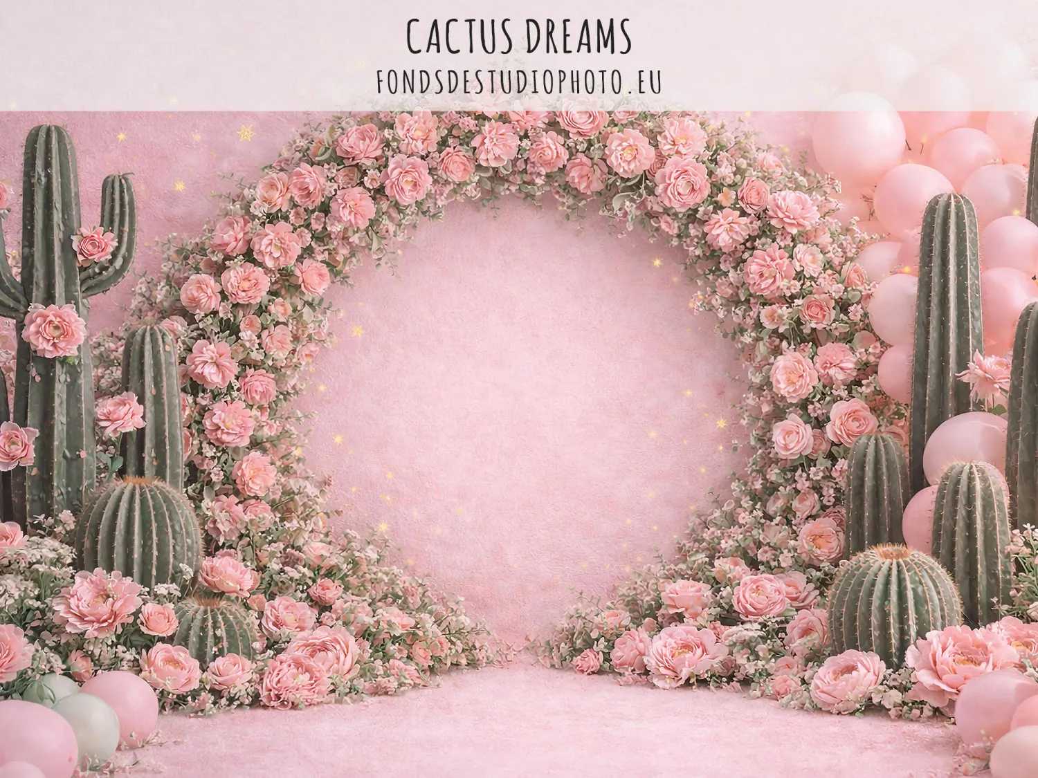 Cactus Dreams