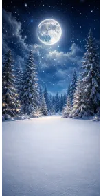 Fond photo Noël — Forêt enneigée sous la pleine lune