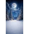 Fond photo Noël — Forêt enneigée sous la pleine lune