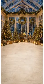 Fond photo Noël — Véranda vitrée féerique