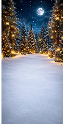 Fond photo Noël — Forêt enchantée illuminée