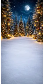 Fond photo Noël — Forêt enchantée illuminée