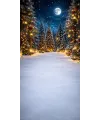 Fond photo Noël — Forêt enchantée illuminée