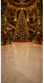 Fond photo Noël — Grand hall & sapin majestueux