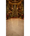 Fond photo Noël — Grand hall & sapin majestueux
