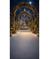 Fond photo Noël — Palais de glace féerique