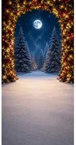 Fond photo Noël — Arche de sapin — forêt & lune