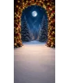 Fond photo Noël — Arche de sapin — forêt & lune