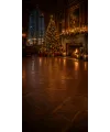 Fond photo Noël — Salon bourgeois & tableaux