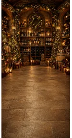 Christmas photo backdrop Christmas champagne cellar