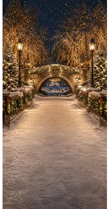 Christmas photo backdrop Illuminated snowy bridge