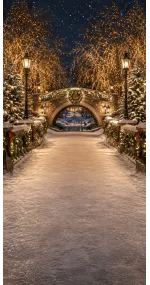 Christmas photo backdrop Illuminated snowy bridge