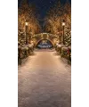 Christmas photo backdrop Illuminated snowy bridge