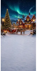Christmas photo backdrop Lapland village under the aurora