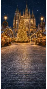 Christmas photo backdrop Market before the cathedral