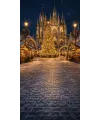 Christmas photo backdrop Market before the cathedral