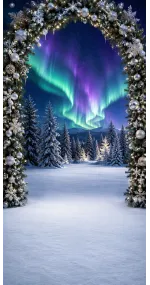 Christmas photo backdrop Arch under the northern lights