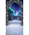 Christmas photo backdrop Arch under the northern lights