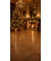 Christmas photo backdrop Sumptuous baroque lounge