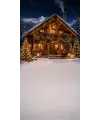 Christmas photo backdrop Chalet under the snow