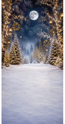 Christmas photo backdrop Enchanted forest under a full moon