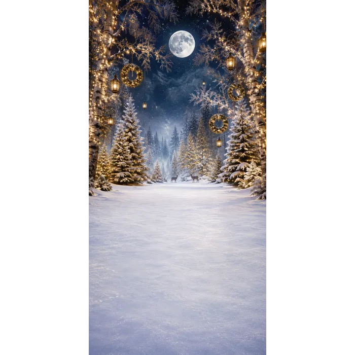 Christmas photo backdrop Enchanted forest under a full moon
