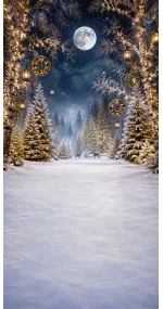 Christmas photo backdrop Enchanted forest under a full moon