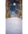 Christmas photo backdrop Enchanted forest under a full moon
