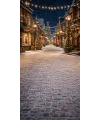 Christmas photo backdrop Christmas street in the snow