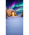 Christmas photo backdrop Igloo village under the aurora