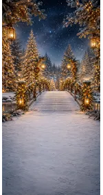 Christmas photo backdrop Enchanted snowy footbridge