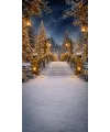 Christmas photo backdrop Enchanted snowy footbridge
