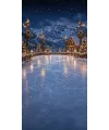 Christmas photo backdrop Magical lakeside ice rink