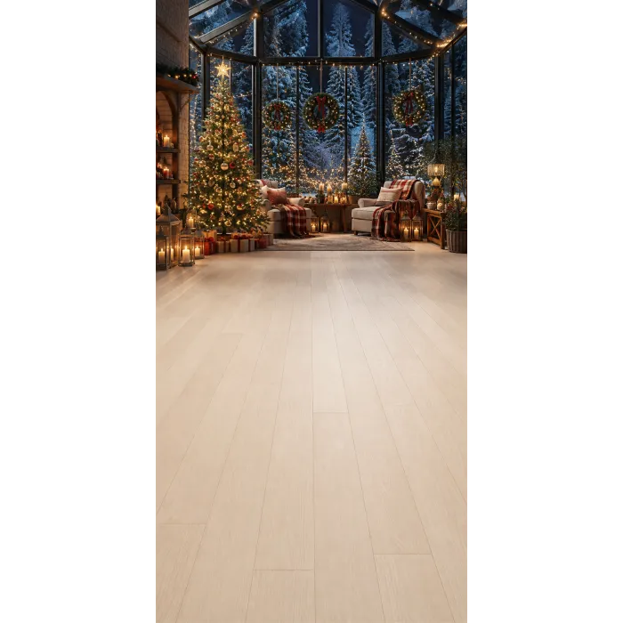 Christmas photo backdrop Lounge under a snowy glass roof
