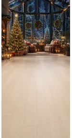 Christmas photo backdrop Lounge under a snowy glass roof