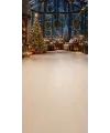 Christmas photo backdrop Lounge under a snowy glass roof