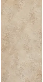 Photo backdrop wall Taupe lime wash