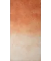 Photo backdrop wall Terracotta & cream ombré